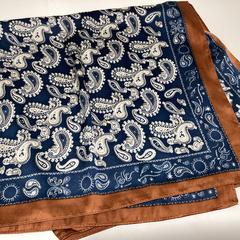 Šál - 260525 NELLY, ako bolo nahlásené Ziggo Dome pomocou iLost