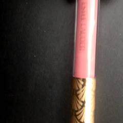 Pintallavis, segons ha informat Grand Hotel Amrath Kurhaus mitjançant iLost