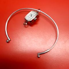 Watch, as reported by UvA REC using iLost