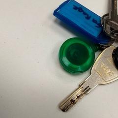 Key, as reported by ilévia using iLost