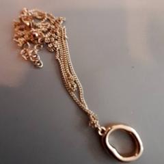Halsband, rapporterat av Universiteitsbibliotheek (Witte Singel) med iLost