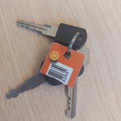 Llaves, ha sido reportado por EBS OV Poeldijk con iLost