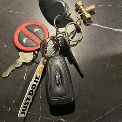 Sleutelbos, come riportato a iLost