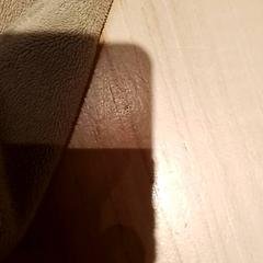 Peluche, a été signalé par Beekse Bergen Resorts en Hotel utilisant iLost