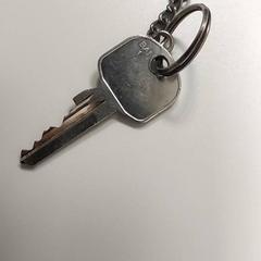 Sleutel، كما تم الإبلاغ عنه بواسطة Centraal magazijn عبر iLost