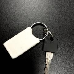 Klíč Axa, jak nahlášeno Arriva Vechtdallijnen pomocí iLost