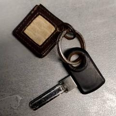 Chiave Met bruine sleutelhanger, come riportato da Arriva Friesland / Groningen utilizzando iLost