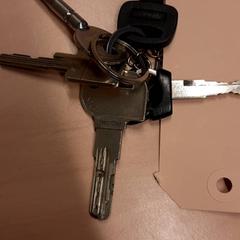 Nøkler, som rapportert av RET ved bruk av iLost