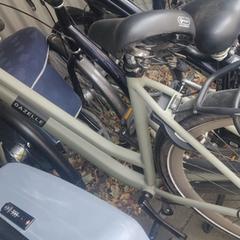 Gazelle fiets beige, som rapporterats till iLost