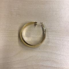 Oorbel, zoals gemeld door Gemeente Nijmegen met iLost