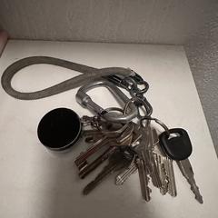Sleutelbos がiLostに報告されました
