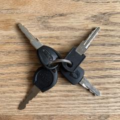 Sleutelbos, como reportado ao iLost