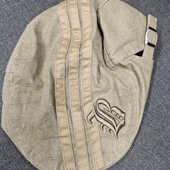 Pet groen grijs, som rapportert av Gemeente Westland ved bruk av iLost