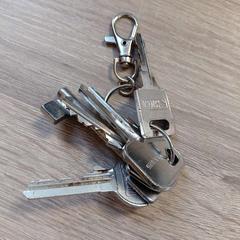 Chaves, segundo informou EBS OV Poeldijk usando iLost