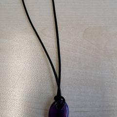 Pegar, segundo informou Connexxion Haarlem IJmond usando iLost