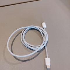 Cable USB C - USB C kabel, segundo informou TU/e - Receptie Neuron usando iLost