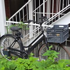 Black Bicycle がiLostに報告されました