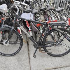Herenfiets giant, som rapportert av Stadswerk072 ved bruk av iLost