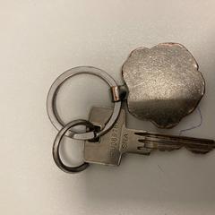 Key Sliver, as reported by Ramada by Wyndham Amsterdam Airport Schiphol using iLost