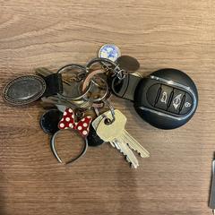 Chaves Demir gamze, como reportado por Gemeente Amsterdam - Bureau Gevonden Voorwerpen utilizando o iLost