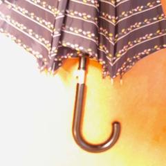 Regenschirm bleu marine à fleurs, gemeldet von TCL über iLost