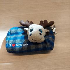 Bag, som rapportert av Centraal magazijn ved bruk av iLost