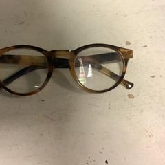 Gafas Bruin beige, ha sido reportado por Artis con iLost