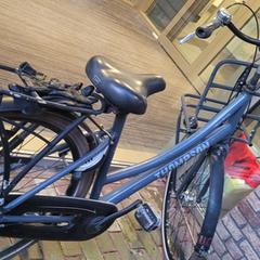 Fiets (merk Thomson), come riportato a iLost