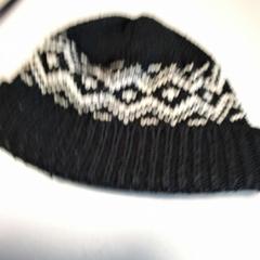 Beanie, as reported by Twisto using iLost