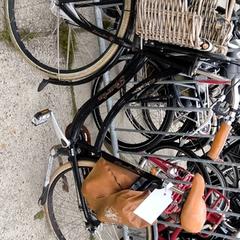Damesfiets Sparta, zoals gemeld door Stadswerk072 met iLost