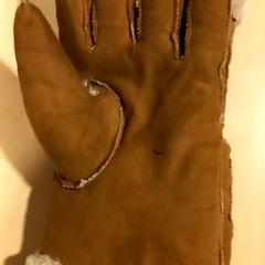 Luvas Handschoenen, como reportado por Arriva Limburg Noord utilizando o iLost