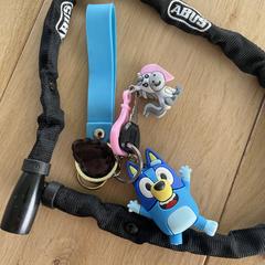 Kettingslot met sleutel a été signalé sur iLost