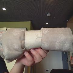 Choker, rapporterat av MEININGER Hotel Lyon Centre Berthelot med iLost