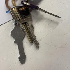 Keys, as reported by GVB using iLost