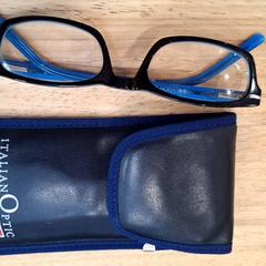 Brýle Blauw, jak nahlášeno Gemeente Wageningen pomocí iLost