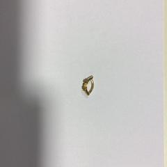 Bijoux Gouden ring, a été signalé par Gemeente Veenendaal utilisant iLost