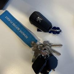 Auto sleutel en sleutels, segons s'ha informat a iLost