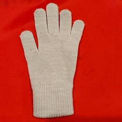 Handschoen, zgłoszono przez Centraal magazijn przy użyciu iLost