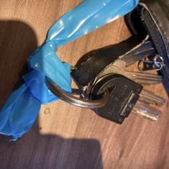 Sleutelbos, gerapporteerd met iLost