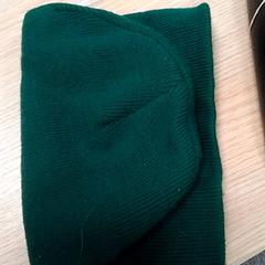 قبعة صغيرة Groen، كما تم الإبلاغ عنه بواسطة Qbuzz Fryslân عبر iLost