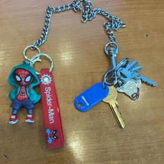 Klíče, jak nahlášeno Pathé Groningen pomocí iLost