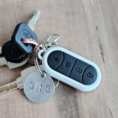 Sleutelbos, iLost에 보고됨