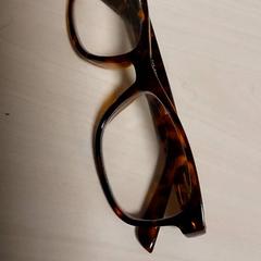 안경 - Leesbril Gevlekt Bruin, iLost를 사용하여 Regio Oost-Vlaanderen에 보고됨