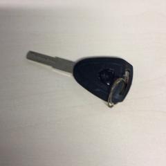 Clave, segundo informou Haaglanden Medisch Centrum usando iLost