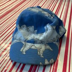 Cap blauw dinosaurus, as reported by Regio Antwerpen - Brussel using iLost