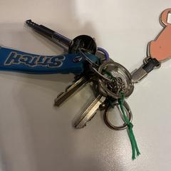 Sleutels, segons ha informat Gemeente Amsterdam mitjançant iLost