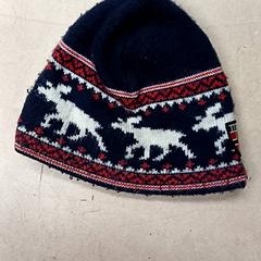 Beanie, amint azt Qbuzz GD Groningen Peizerweg az iLost segítségével jelentette.