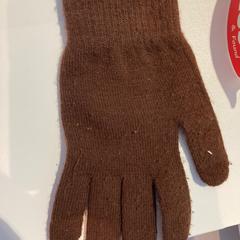 Glove Bruin, ako bolo nahlásené Pathé Nijmegen pomocou iLost