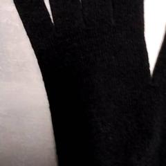 Handschoenen Zwart, zoals gemeld door Arriva Friesland / Groningen met iLost