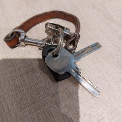 Sleutels, rapporterat av RRReis Trein Amersfoort / Ede-Wageningen med iLost